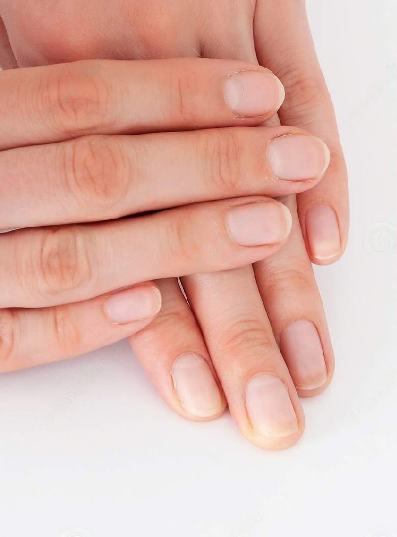 nail-extension-natural-french-manicure-long-nails-female-hands-213641895-transformed
